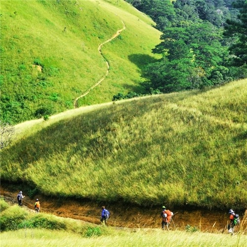 Cung đường treck đẹp nhất việt nam tựa chốn thiên đường