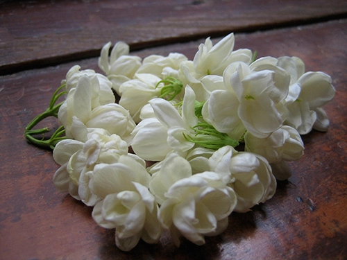 Da trắng hồng nhờ các loài hoa