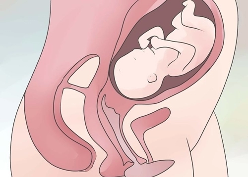 Dù chưa từng nhìn thấy cổ tử cung nhưng đây là 10 điều bạn cần biết