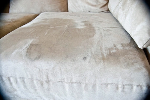 Giặt khô sofa da lộn hóa ra chẳng khó