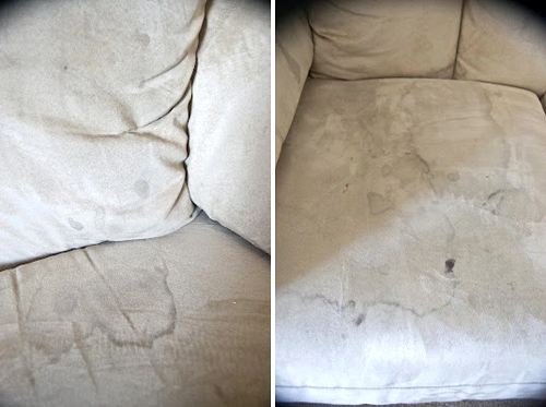 Giặt khô sofa da lộn hóa ra chẳng khó