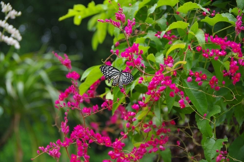 Gợi ý điểm dã ngoại cho trẻ mùa hè