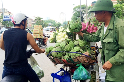 Hạt sen đã vào mùa