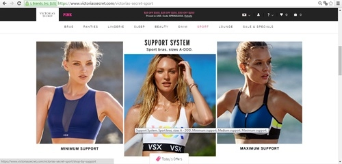 Hé lộ lý do victorias secret khai tư dong ao tăm