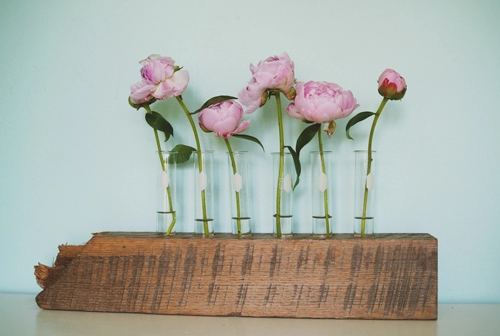 Lọ hoa cá tính làm từ gỗ ống nghiệm