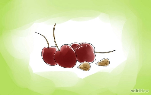 Mách bạn cách trồng cherry sai trĩu quả tại nhà
