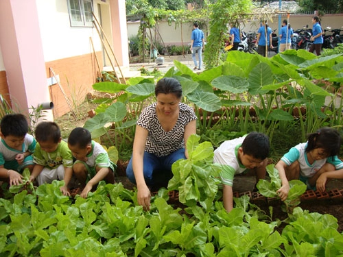 Mỡ màng vườn rau xanh cô giáo trồng cho các bé ăn