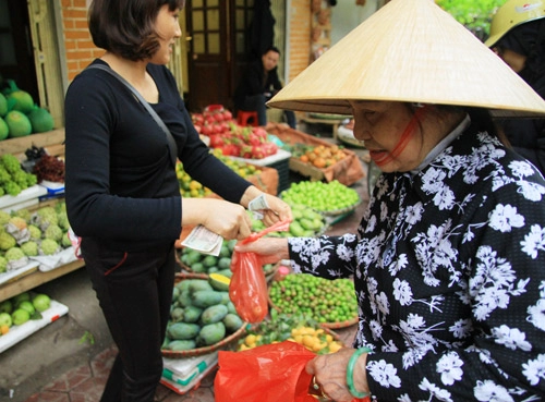 Mùa nhót chín đỏ rực phố hà nội