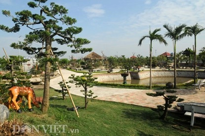 Mục kích vườn cây cảnh bạc tỷ ở nam định
