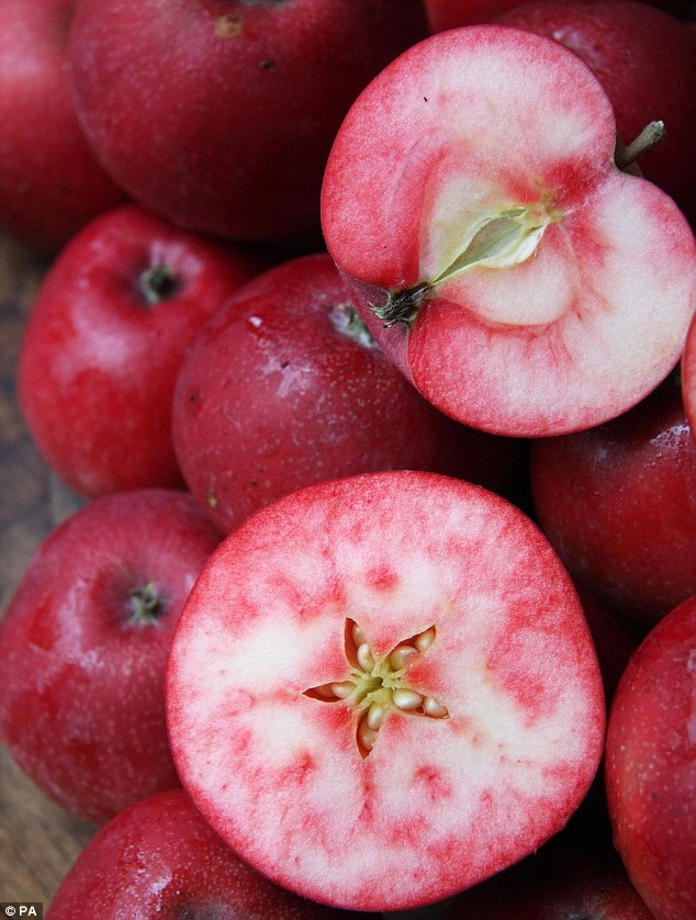 Ngắm táo ruột đỏ giòn ngọt có giá 860000 một cây