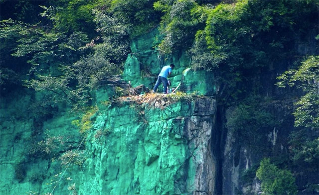 Người đàn ông sơn xanh 900m vách đá để hợp phong thủy
