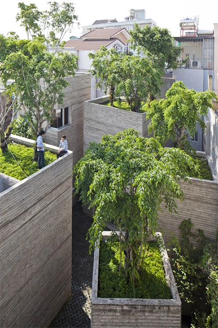 Nhà 5 khối phủ cây xanh của vn thắng giải kiến trúc thế giới
