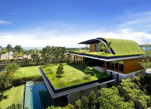 Nhà mái cỏ việt nam trong top 20 nhà mái xanh độc đáo
