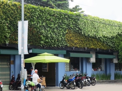 Nhà mát rượi nhờ mảng tường cây xanh