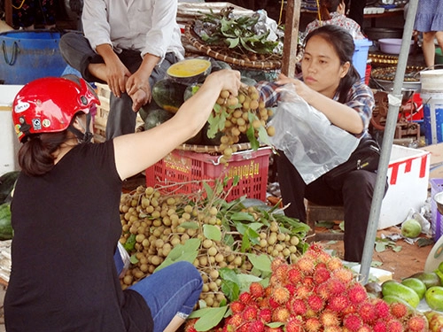 Nhãn lồng đầu mùa ngon ngọt