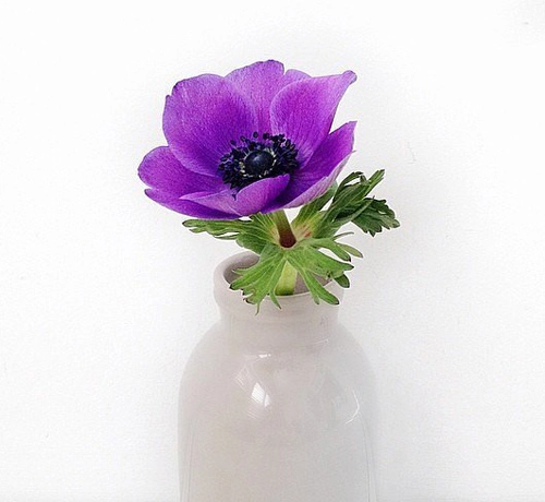 Những cách đơn giản để cắm hoa đẹp