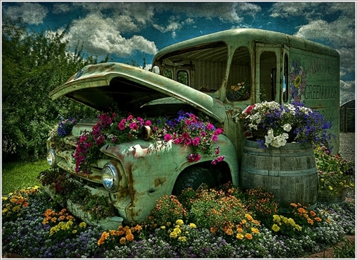 Những chiếc xe hoa ấn tượng trong vườn