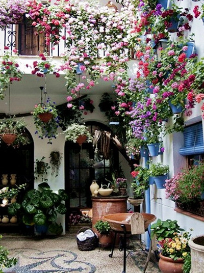 Những ngôi nhà rực rỡ sắc màu nhờ các giỏ hoa