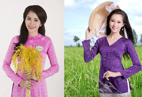 Tân hoa khôi đb sông cửu long bị so sánh với hh thu thảo