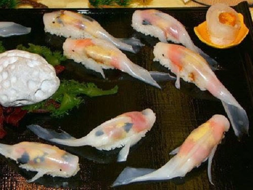 Thích thú với món sushi biết bơi ở nhật bản