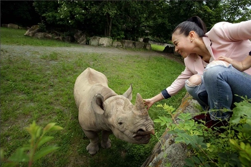 Thu minh đi thăm tê giác tại vườn thú ở cộng hòa czech