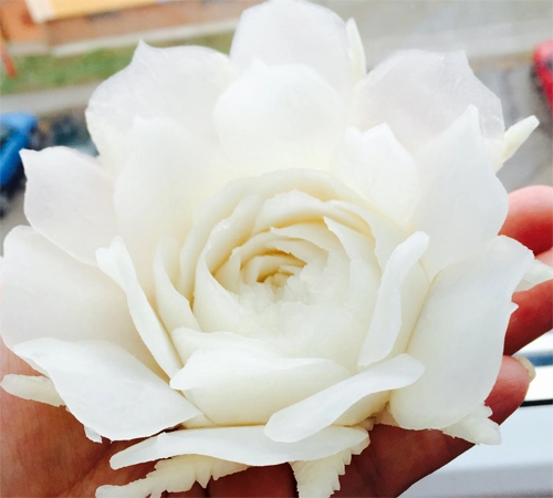 Tỉa hoa hồng từ củ cải trắng siêu đẹp