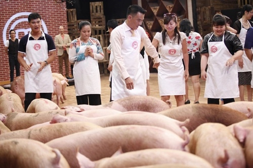 Top 12 masterchef vietnam lộ diện