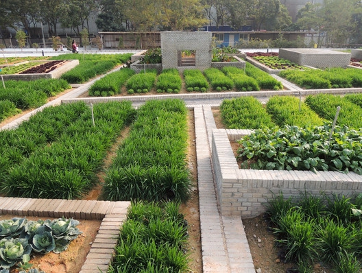 Tq vườn rau sạch 2000m cho cư dân thành phố tự trồng