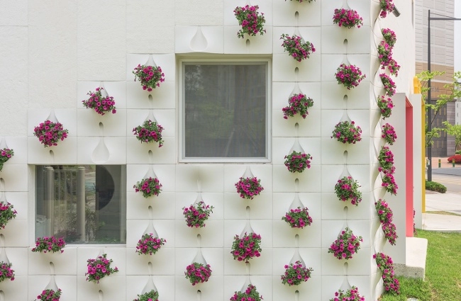 Trăm hốc giò hoa ngợp tường cho nhà ít diện tích