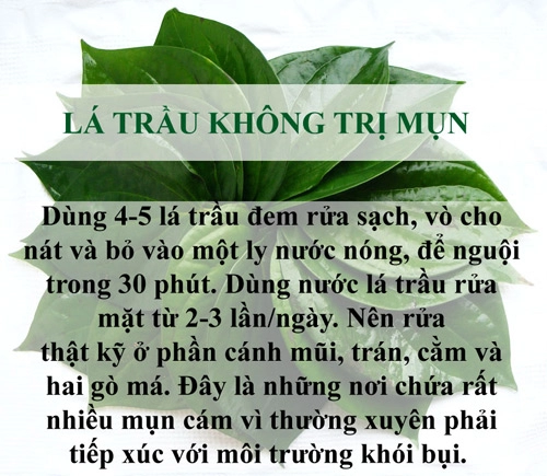 Trị sạch mụn chỉ mất vài nghìn đồng bằng lá cây