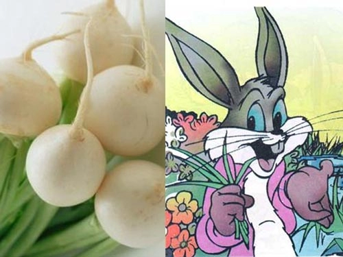 Truyện cổ tích chú thỏ và núi củ cải