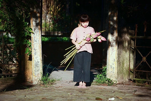 Vẻ đẹp trong trẻo của bé gái hà thành bên sen đầu mùa