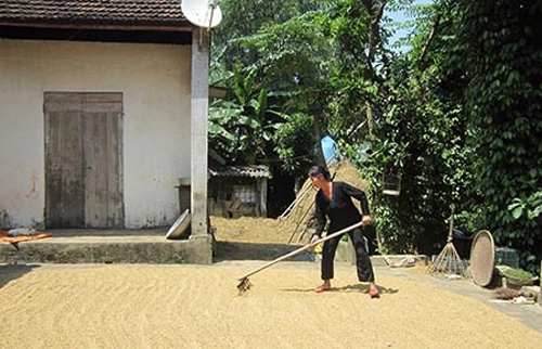 Về đô lương thăm nhà công phượng