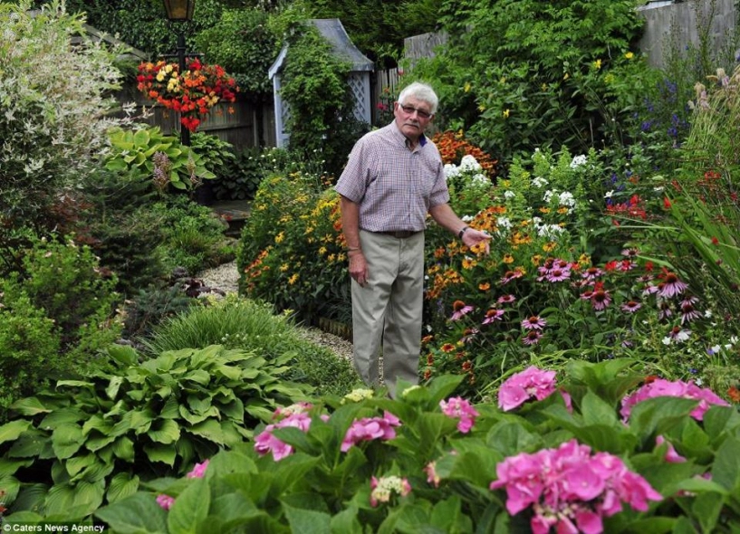 Vợ chồng già dành 30 giờ mỗi tuần suốt 30 năm để chăm vườn