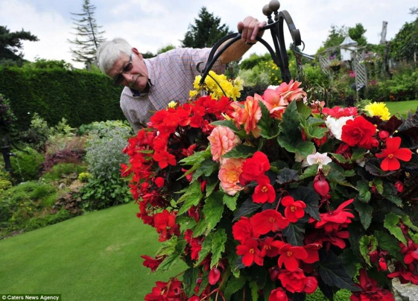 Vợ chồng già dành 30 giờ mỗi tuần suốt 30 năm để chăm vườn