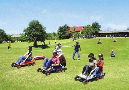 10 điểm picnic dưới 200000 ở đồng nai