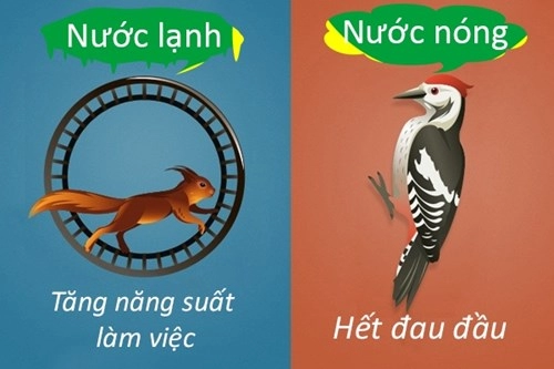 9 lợi ích khác nhau giữa tắm nước nóng và nước lạnh