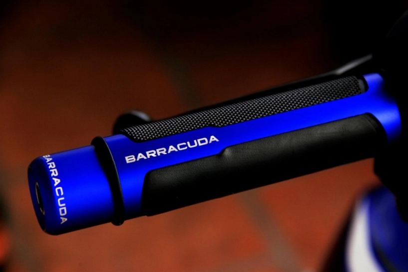 Bao tay barracuda - món trang sức bình dân nhưng nổi bật