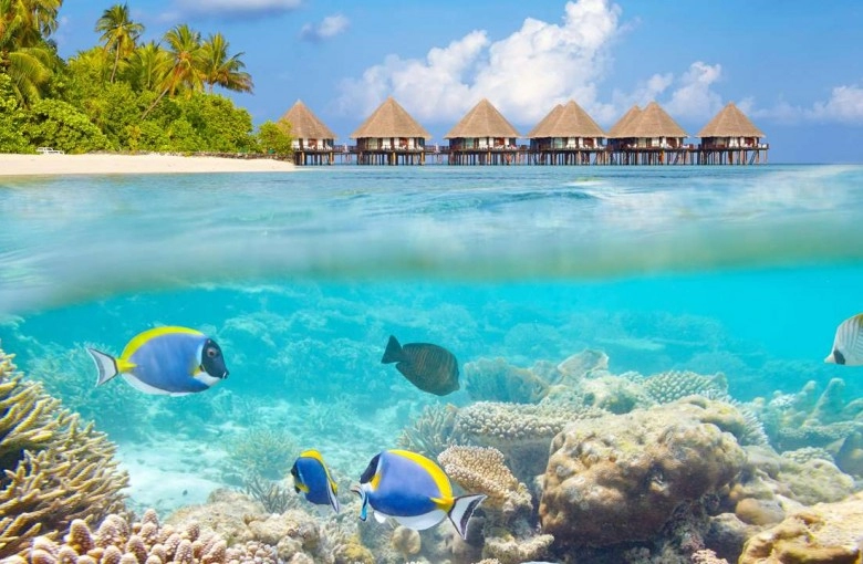 Bất ngờ với hai mặt đối lập của thiên đường maldives