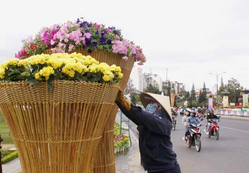 Chùm ảnh đà lạt rực rỡ sắc hoa