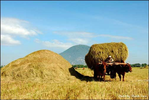 Đến tây ninh trượt máng núi bà đen