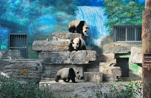 Điểm danh những vườn thú đẹp và lớn nhất thế giới