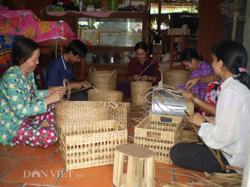 Hoa tím lục bình trên sông nước miền tây