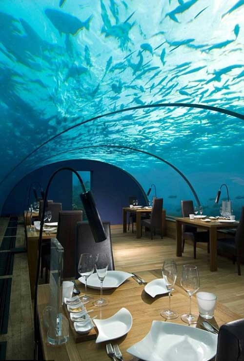 Ngắm vẻ đẹp nhà hàng dưới nước đầu tiên thế giới