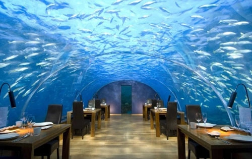 Ngắm vẻ đẹp nhà hàng dưới nước đầu tiên thế giới