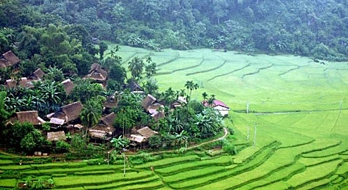 Ruộng bậc thang miền sơn cước pù luông