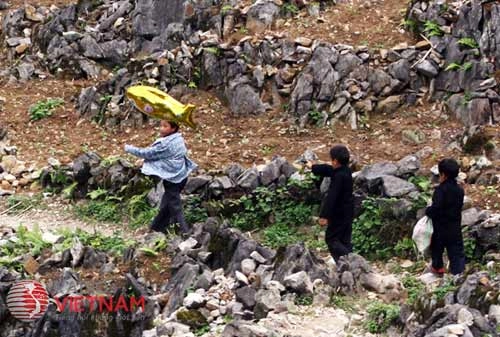 Sắc màu cuộc sống trên cao nguyên đá