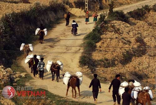 Sắc màu cuộc sống trên cao nguyên đá