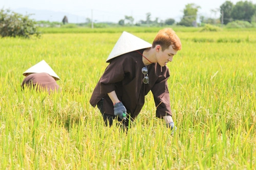 Thí sinh project runway vietnam bất ngờ đi gặt lúa