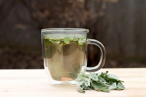 Top 5 loại nước trà giúp bạn giảm cân hiệu quả